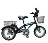 سه چرخه الکس مدل جوکر سایز 12 (Alex Joker)