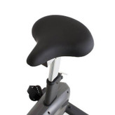 دوچرخه ثابت باشگاهی پروتئوس مدل Vantage V5