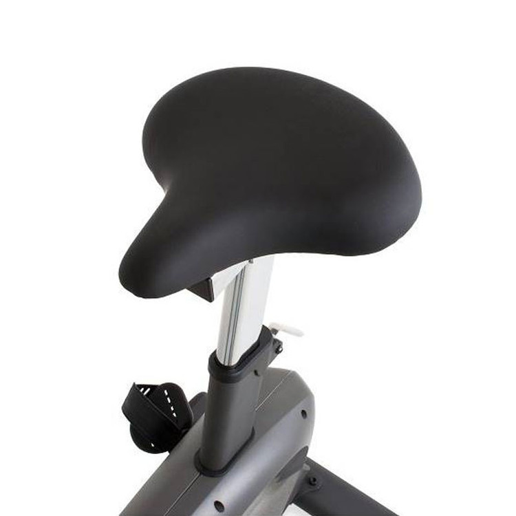 دوچرخه ثابت باشگاهی پروتئوس مدل Vantage V5