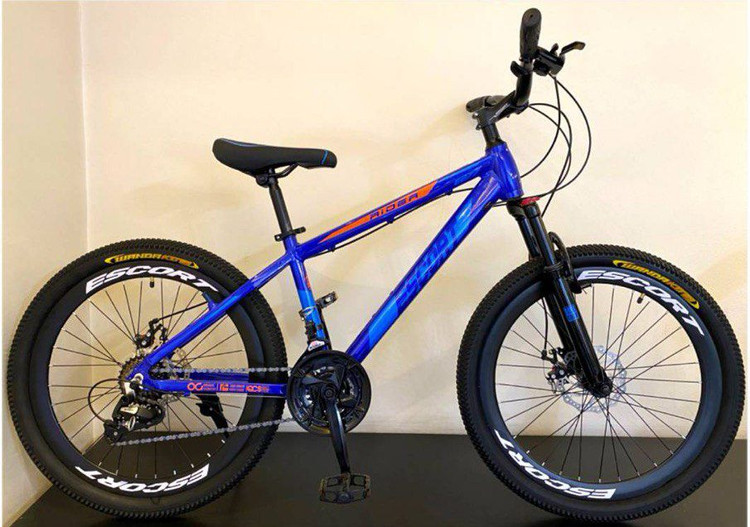 دوچرخه اسکورت با بدنه آلومینیوم و دست دنده کلاجدار و ترمز دیسکی سایز 24 مدل 27۷