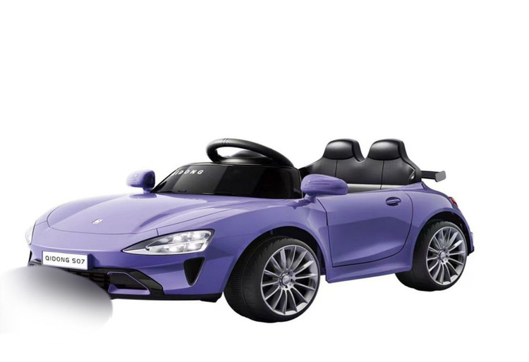 ماشین شارژی دوموتوره کریر دار متالیک NTCO کد C110127LP