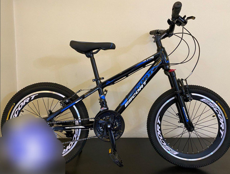 دوچرخه اسکورت تنه آلومینیوم بهمراه ترمز ویبریک و بیست و یک دنده سایز 24 مدل 280