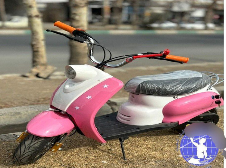 موتور بنزینی 2 زمانه 49 سی سی Ntco کد 10067 طرح وسپا
