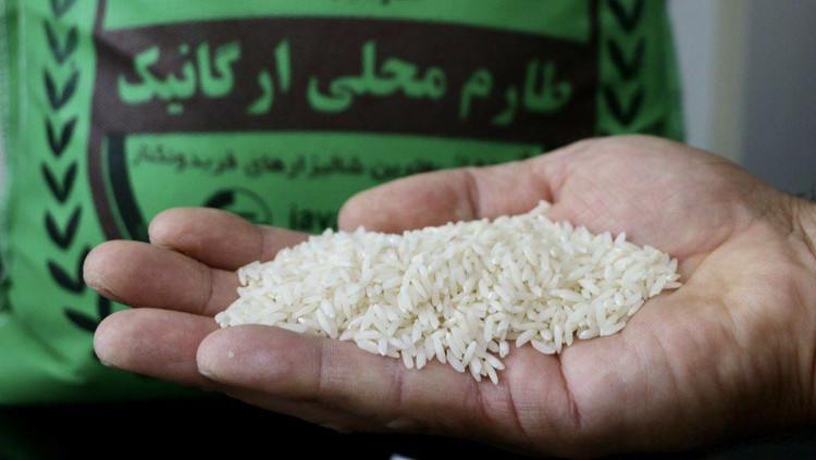 برنج طارم اعلا درجه یک کشت اول ۱۰ کیلویی با عطر و طعم جذاب برند نایکو