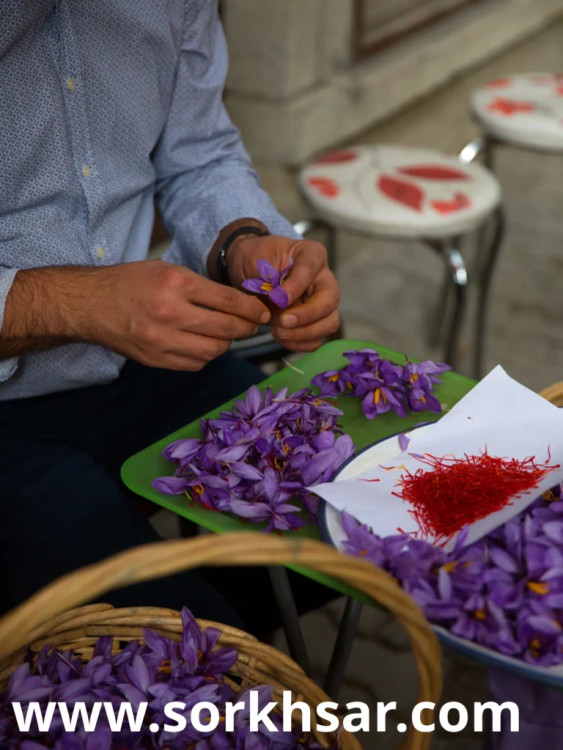زعفران با وزن ۱ مثقال (۴/۶ گرم) درجه یک صادراتی ممتاز قائنات
