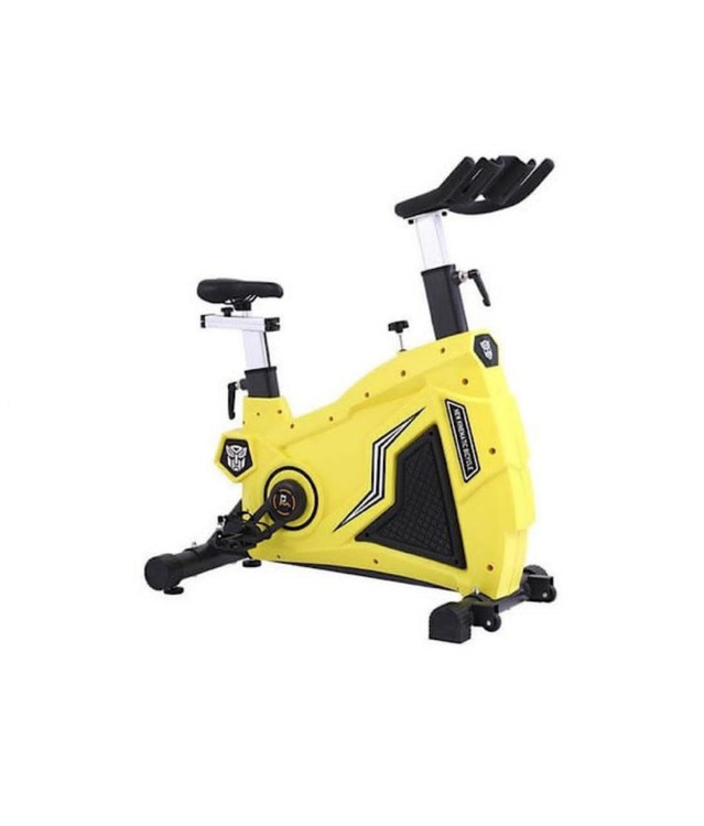 اسپینیگ باشگاهی تریملاین با فلایویل 22 کیلویی مدل XZ908