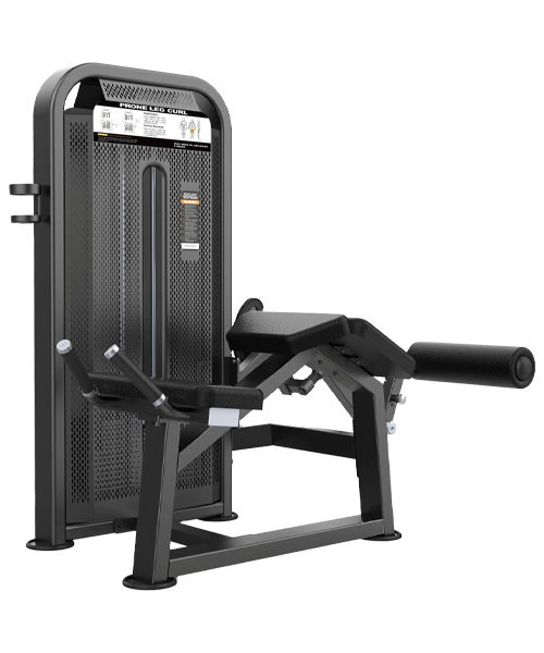 دستگاه پشت ران خوابیده DHZ اورجینال مدل U3001D-K