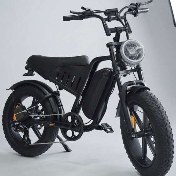دوچرخه برقی آفرود حرفه ای سایز بزرگ یا باتری لیتیومی ۱۵ آمپر برند CHENXIAN