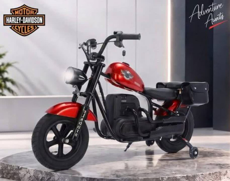 موتور شارژی هارلی داویدسون با موتور ۲۴ ولت براشلس کد ۵۷۰۰